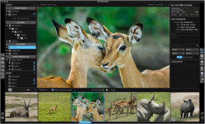 ON1 announces Photo RAW image processor & editor
